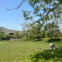 زمین مسکونی از ۱۰۰ متری تا ۵۵۰۰ متری اقساطی