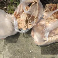 نون خشک و دانه پارس