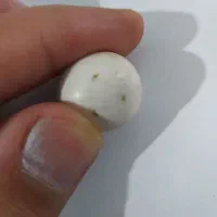 سنگ اسیاب اصل