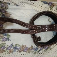 قطار برنو