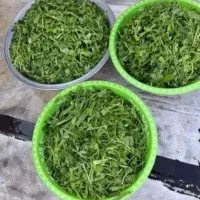 خورد کردن سبزی ولوبیا سبز و...