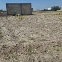 زمین ۱۷۶متری عمله سیف
