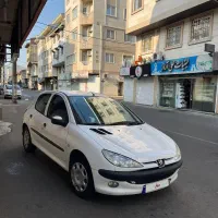 206 تیپ ۵ بی رنگ