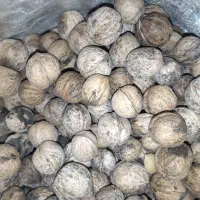 گردو قیمت مناسب برای فسنجون