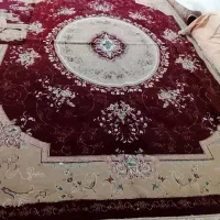 قالی|فرش|گراش, |دیوار