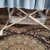 گهواره