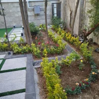 خدمات باغبانی،روف گادرن،سم پاشی،گلدان داخلی