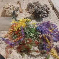آکواریوم مرجان