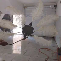 جاپری علامت