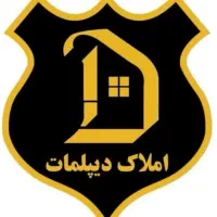 کارشناس املاک حرفه ای و مبتدی