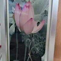 قاب عکس
