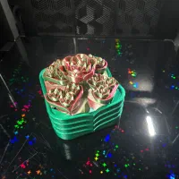 باکس حلقه نامزدی بسیار زیبا