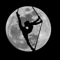 آموزش صفر تا صد اریال و انعطاف