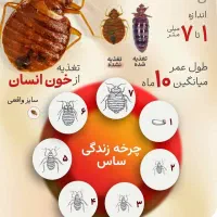 ساس کک کنه حشره خاک دیاتومه هایلی بدباگ سرخک بید