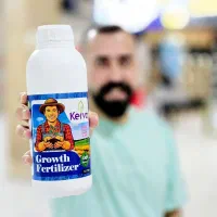 کود باغ سیب سمیرم تقویت و درشت شدن میوه