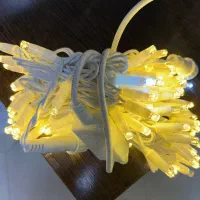 ریسه سوزنی ۵۰ متری