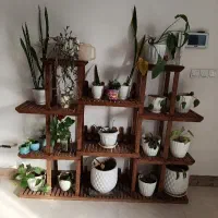 استند گل