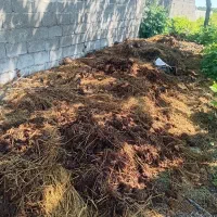 کود حیوانی تازه درجه یک