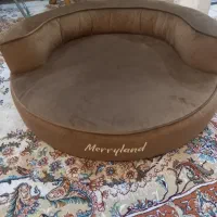 وسایل سگ وگربه