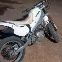 تریل آمیکو
