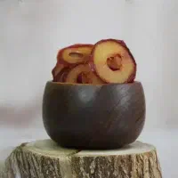 تست و تحویل خشک کن  میوه سبزیجات  لواشک 1500