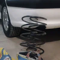 فنر لول پژو پارس