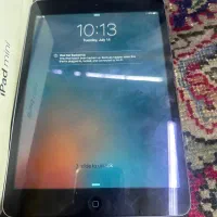 iPad mini 16 gig WiFi