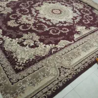 فرش|فرش|مشهد, کوی المهدی|دیوار