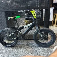 ‌دوچرخه ۱۶ SMART