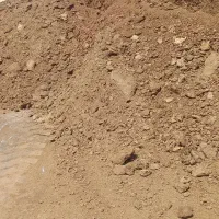 کودگاوی|خدمات باغبانی و درختکاری|نجفآباد, جوزدان|دیوار