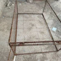 کفتر‌‌|لوازم جانبی حیوانات|خواف, |دیوار