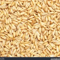 خریدار گندم درمحل