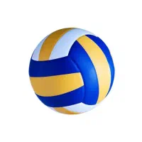 همبازی والیبال