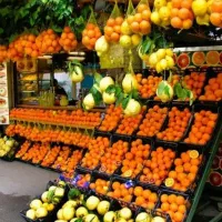 نیازمند شاگرد میوه فروشی