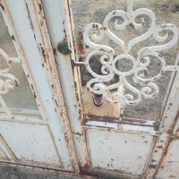 سگ نگهبان روانی