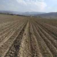 زمین هکتاری حاشیه خیابان اصلی