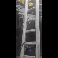 نردبان ۱۰ پله