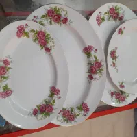 دیس گل سرخی پیربکران