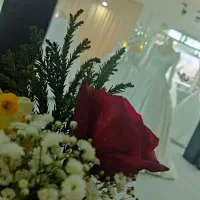 شهر عروس