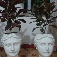 گل و گلدان