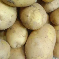 پیاز درشت سیب زمینی درشت رستوران و نذری