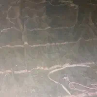 چادر بنزتک نونو دوبارروی بار کشیده شده