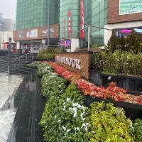 فروشنده پوشاک زنانه با حقوق خوب