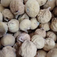 انجیر استهبان ریز و درشت درمان قطعی یبوست