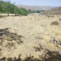 زمین.دهبکری