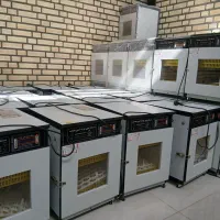 دستگاه جوجه کشی«با رعایت اصول بهداشتی