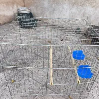 قفس بزرگ پرنده و خرگوش