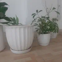 گلدان سفالی سایز بزرگ