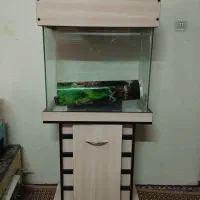 آکواریوم