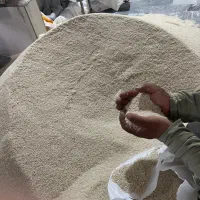 پخش و فروش برنج درجه یک در شالیکپبی مدرن